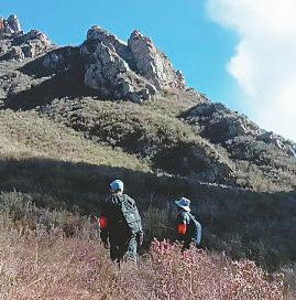 護林隊員.jpg 護林隊員.jpg